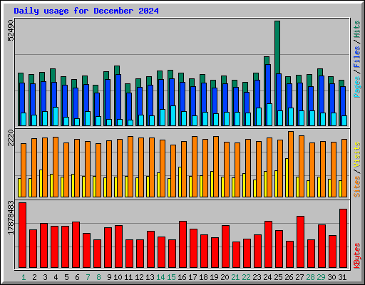 Daily usage for December 2024