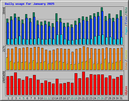 Daily usage for January 2025