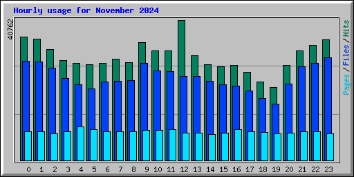 Hourly usage for November 2024