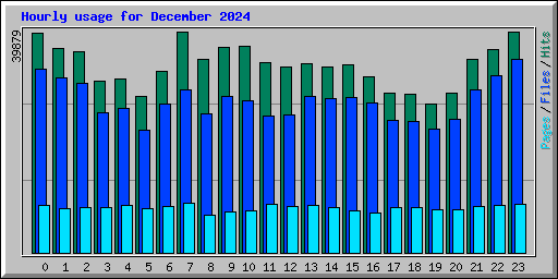 Hourly usage for December 2024