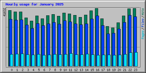 Hourly usage for January 2025