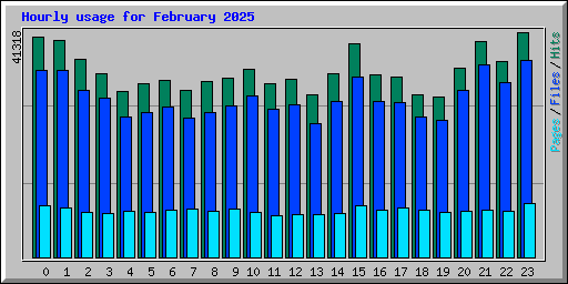 Hourly usage for February 2025